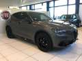 Alfa Romeo Stelvio Stelvio 2.2 Turbodiesel 210 CV AT8 Q4 Veloce MY24 Gris - thumbnail 2