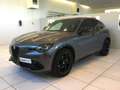 Alfa Romeo Stelvio Stelvio 2.2 Turbodiesel 210 CV AT8 Q4 Veloce MY24 Gris - thumbnail 4