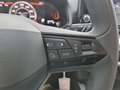SEAT Ibiza Reference 1.0 Rot - thumbnail 19