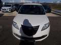 Lancia Ypsilon Ypsilon III 2011 1.3 mjt Gold s Bianco - thumbnail 2