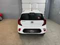Kia Picanto 1,0 MPI*Sitz+Lenkradheizung* Weiß - thumbnail 10