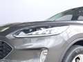 Ford Kuga 2.5 PHEV Cool & Connect Navi PDC Ganzjahresreifen Gris - thumbnail 5