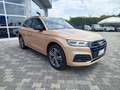 Audi Q5 2.0 TDI 190 CV quattro S tronic S line plus Bronze - thumbnail 3