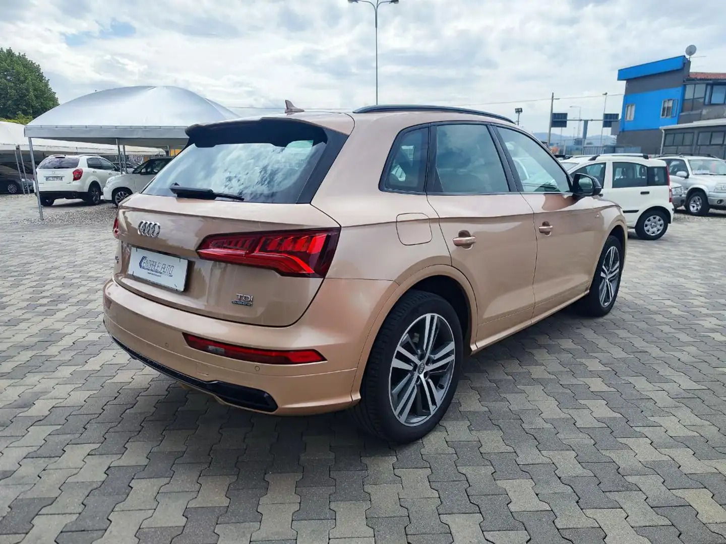 Audi Q5 2.0 TDI 190 CV quattro S tronic S line plus Bronze - 2