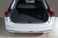 Volvo V90 B4 Diesel Plus Bright Navi Leder ACC Kamera Alb - thumbnail 5