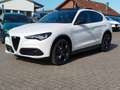 Alfa Romeo Stelvio Veloce Q4 #Pano #TechPaket Weiß - thumbnail 1
