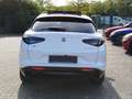 Alfa Romeo Stelvio Veloce Q4 #Pano #TechPaket Weiß - thumbnail 5