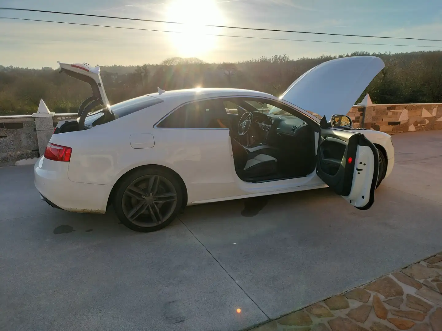 Audi S5 4.2 Blanco - 2