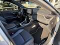 Toyota RAV 4 2.5 Hybrid Style 218PK / NAVIGATIE / ACHTERUITRIJC Argent - thumbnail 18