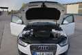 Audi A4 allroad quattro 2.0 TDI DPF SHZ Carplay Blanc - thumbnail 7