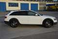 Audi A4 allroad quattro 2.0 TDI DPF SHZ Carplay Blanc - thumbnail 6