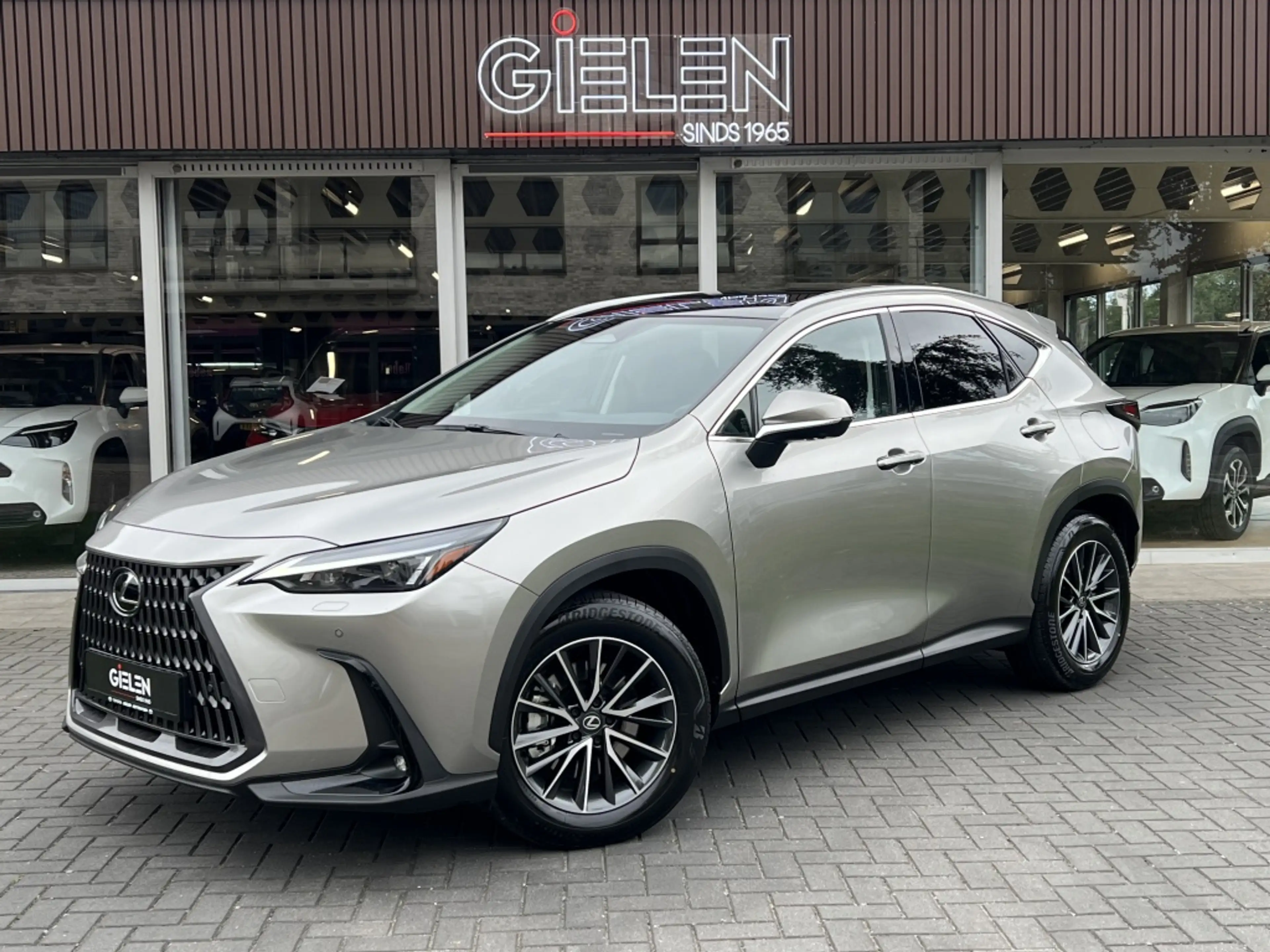 Lexus NX 450h+ Executive Line | Panoramadak, Head up display, 18