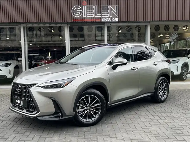 Lexus NX 450h+ Executive Line | Panoramadak, Head up display, 18