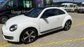 Volkswagen Kever Beetle / kever - thumbnail 3