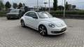 Volkswagen Kever Beetle / kever - thumbnail 2