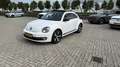 Volkswagen Kever Beetle / kever - thumbnail 1