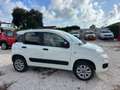 Fiat Panda Panda 0.9 TwinAir Turbo S&S 4x4 Pop Van 2 posti Bianco - thumbnail 4