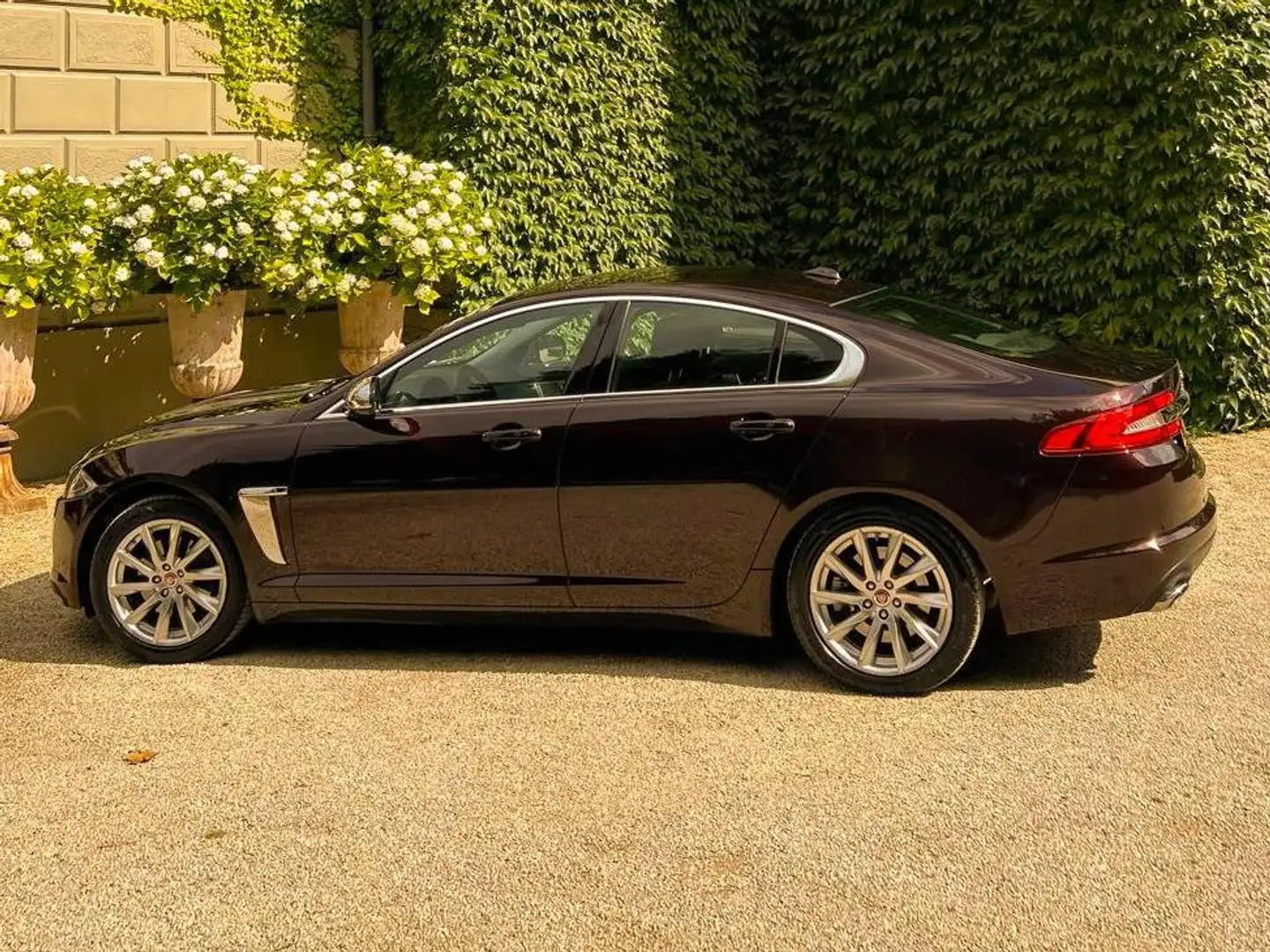 Jaguar XF XF 3.0D R-Sport L.E. - 1