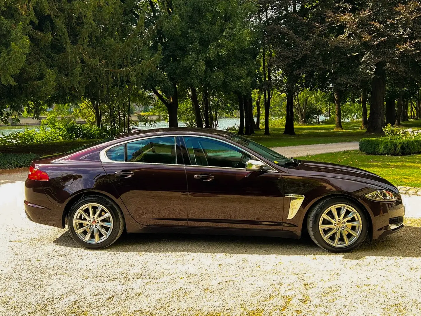 Jaguar XF XF 3.0D R-Sport L.E. - 2