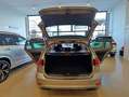Volkswagen Golf Variant 2.0TDI Advance Plateado - thumbnail 10