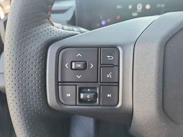 Toyota RAV 4 5-Türer GR Sport 2.5 Plug-in Hybrid Automatik Ansicht 20