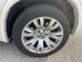 BMW X5 xDrive 30 d Weiß - thumbnail 20