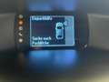 Ford Focus Champions Edition*STH*PDC*TEMPOMAT*USB* Schwarz - thumbnail 24
