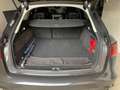 Audi A6 allroad A6 allroad quattro 3.0 TDI S tronic DPF Серый - thumbnail 9