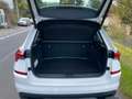 Skoda Kamiq Tour 1.0 TSI 81 KW Bianco - thumbnail 7
