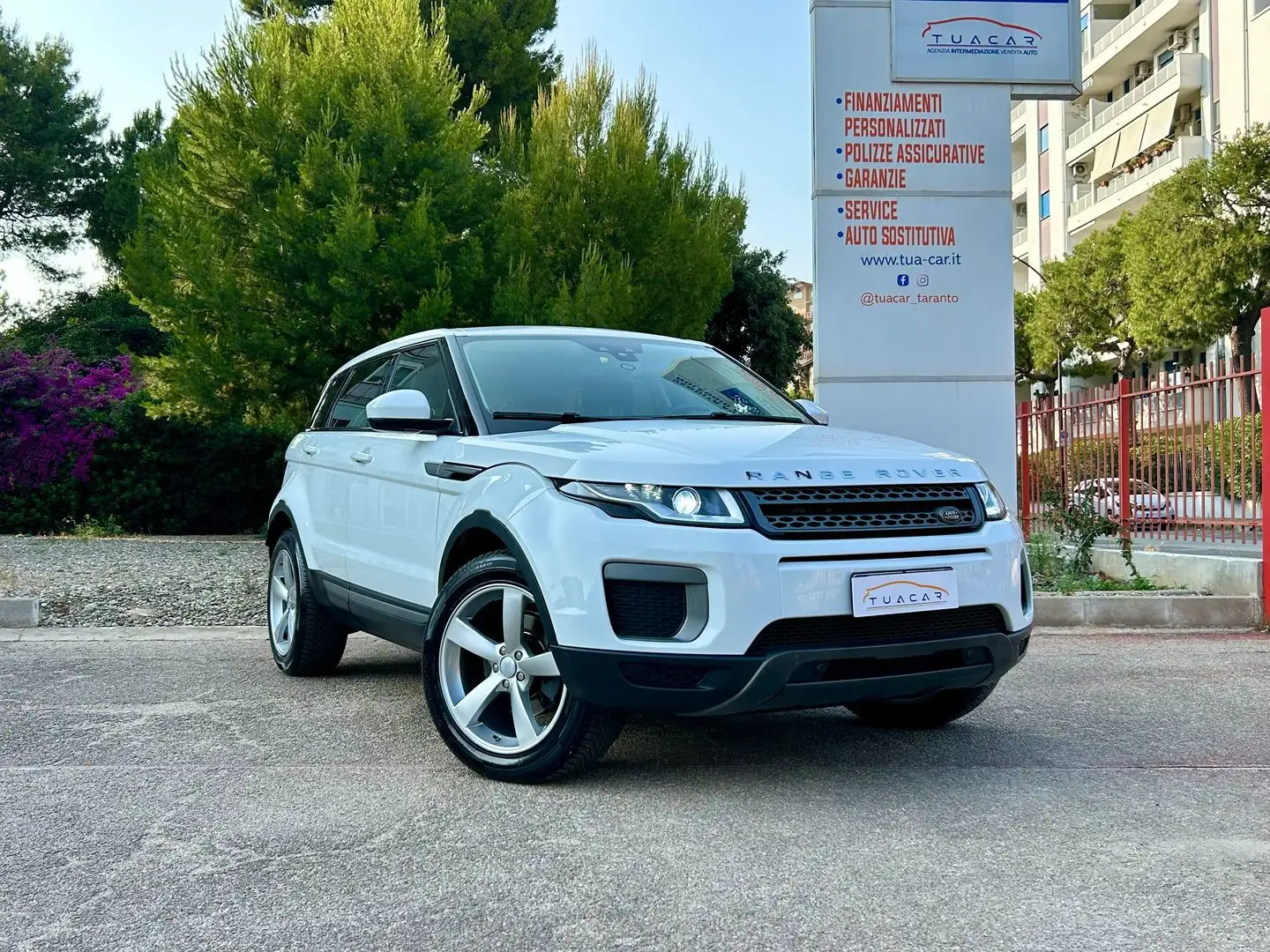 Land Rover Range Rover Evoque Business Edition TD4 Bianco - 2