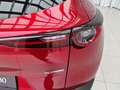 Mazda CX-30 2.5L G140PS 6MT 2WD EXCLUSIVE - LINE Rot - thumbnail 11
