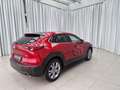 Mazda CX-30 2.5L G140PS 6MT 2WD EXCLUSIVE - LINE Rot - thumbnail 5