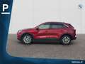Ford Kuga Kuga 2,5 Duratec FHEV Titanium Rot - thumbnail 2