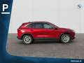 Ford Kuga Kuga 2,5 Duratec FHEV Titanium Rot - thumbnail 5