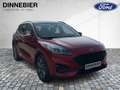 Ford Kuga ST-Line X LED+AHK+Glasdach+Kamera+SHZ Rouge - thumbnail 8