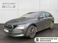 Skoda Octavia 2.0 TDI DPF Selection ACC MATRIX-LED Grau - thumbnail 1