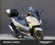 Honda Forza 350 Deluxe Abs Grigio - thumbnail 1