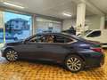 Lexus ES 300 h FULL-HYBRID DA 218 CV CON TETTO APRIBILE Albastru - thumbnail 7