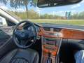 Mercedes-Benz CLS 350 CDI Aut. DPF Weiß - thumbnail 14