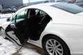 Mercedes-Benz CLS 350 CDI Aut. DPF Weiß - thumbnail 9