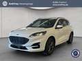 Ford Kuga 2.5 Duratec PHEV ST-LINE Weiß - thumbnail 1