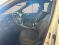 Ford Kuga 2.5 Duratec PHEV ST-LINE Weiß - thumbnail 10
