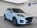 Ford Kuga 2.5 Duratec PHEV ST-LINE Weiß - thumbnail 8