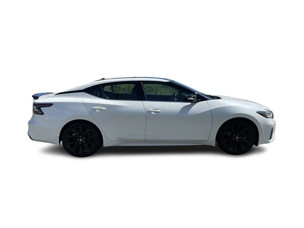 Nissan Maxima снимка Nissan Maxima
