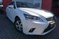 Lexus CT 200h 25th Edition | Origineel NL | Schuif-/kanteldak | Weiß - thumbnail 5