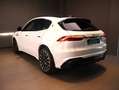 Maserati Grecale Trofeo Weiß - thumbnail 4