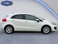 Kia Rio 1.2 CVVT Super Pack, 5 deurs, climaat controle , N Wit - thumbnail 15
