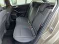 Ford Focus 1.5 TDCi 120 CV Start&Stop ST Line Brun - thumbnail 14