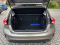 Ford Focus 1.5 TDCi 120 CV Start&Stop ST Line Brun - thumbnail 15