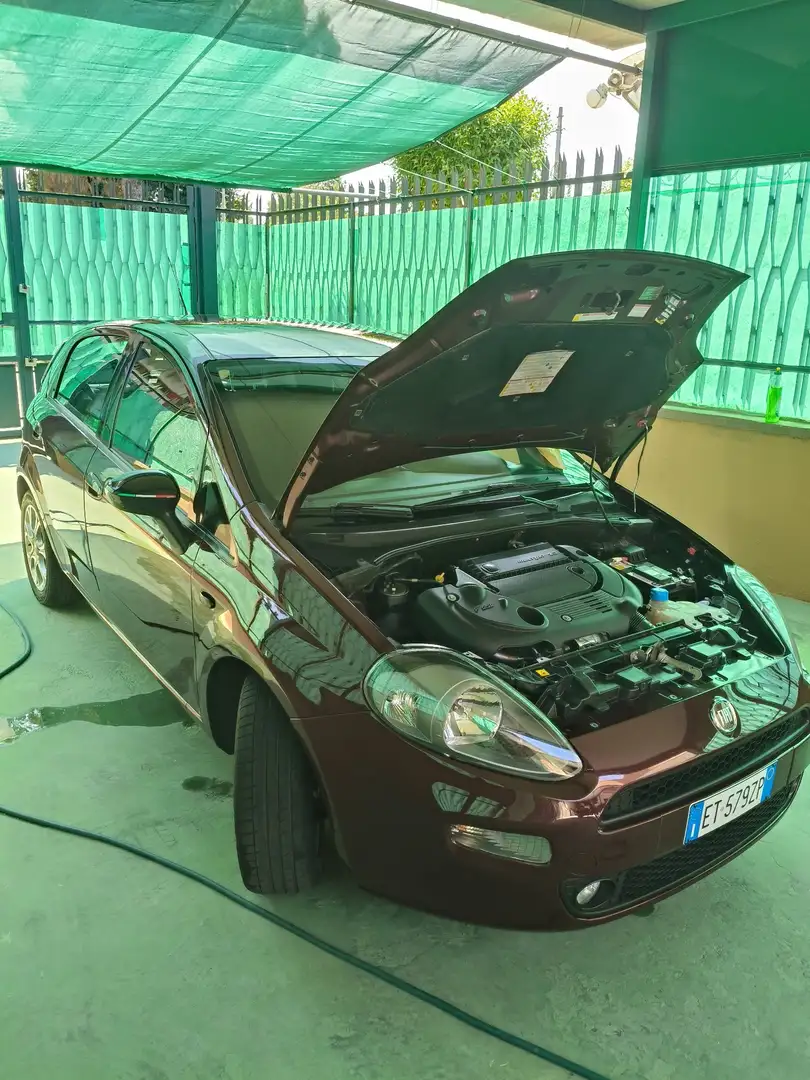 Fiat Punto 5p 1.3 mjt II 16v Lounge eco s&s 85cv E5+ - 2